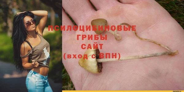метадон Надым