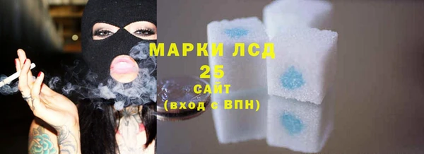 стаф Нея