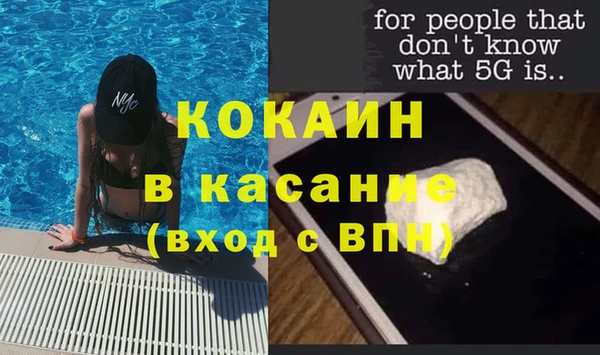 стаф Нея