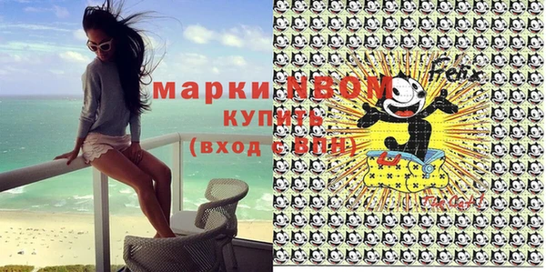 стаф Нея