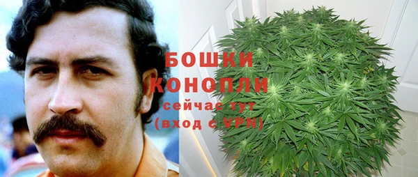 стаф Нея
