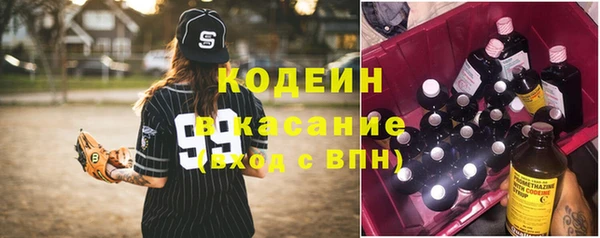 стаф Нея