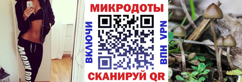 где купить наркоту  Кирсанов  hydra ТОР  Псилоцибиновые грибы MAGIC MUSHROOMS 