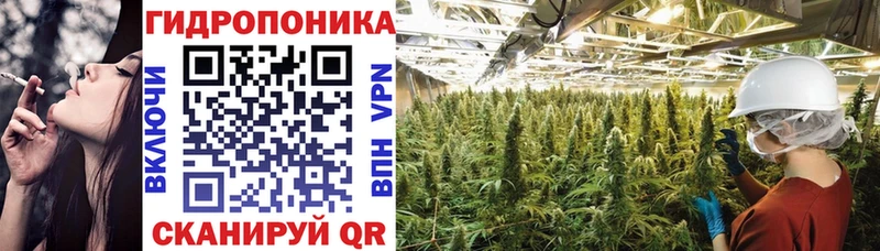 наркота кракен ТОР Каннабис гибрид Кирсанов